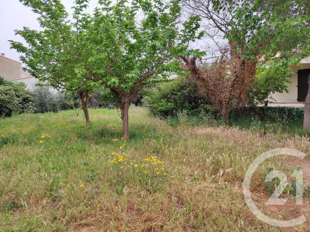 terrain à vendre - 368.0 m2 - FRONTIGNAN - 34 - LANGUEDOC-ROUSSILLON - Century 21 Agence Des Halles